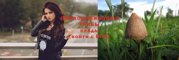 Альфа ПВП Киреевск