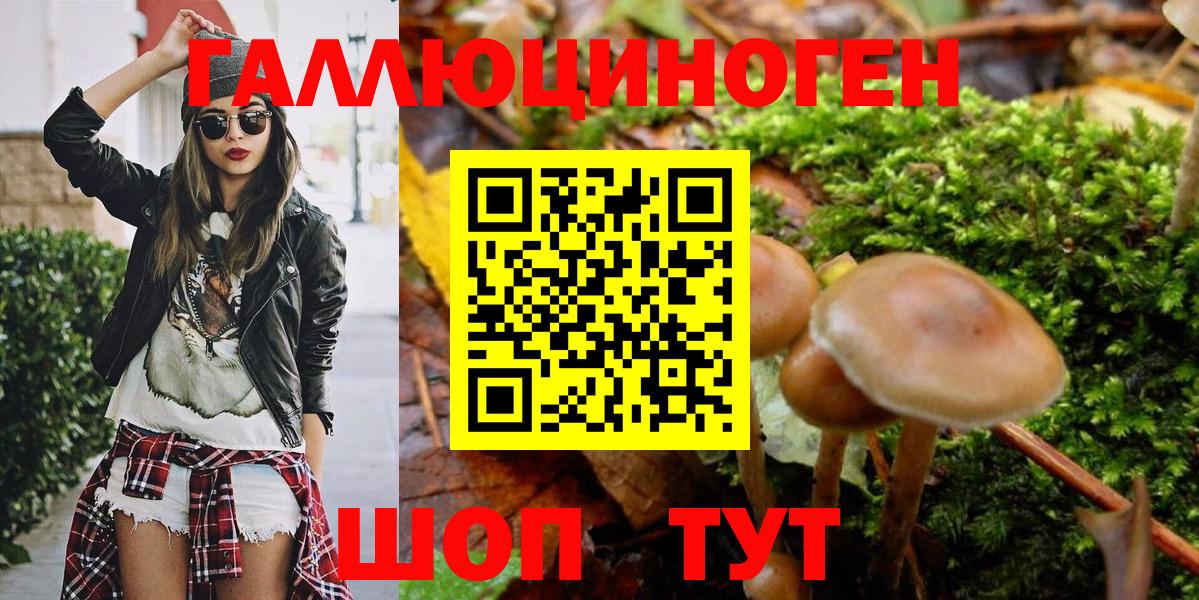 Псилоцибиновые грибы Magic Shrooms  Вход с VPN  Галлюциногенные грибы мухоморы  Астрахань 