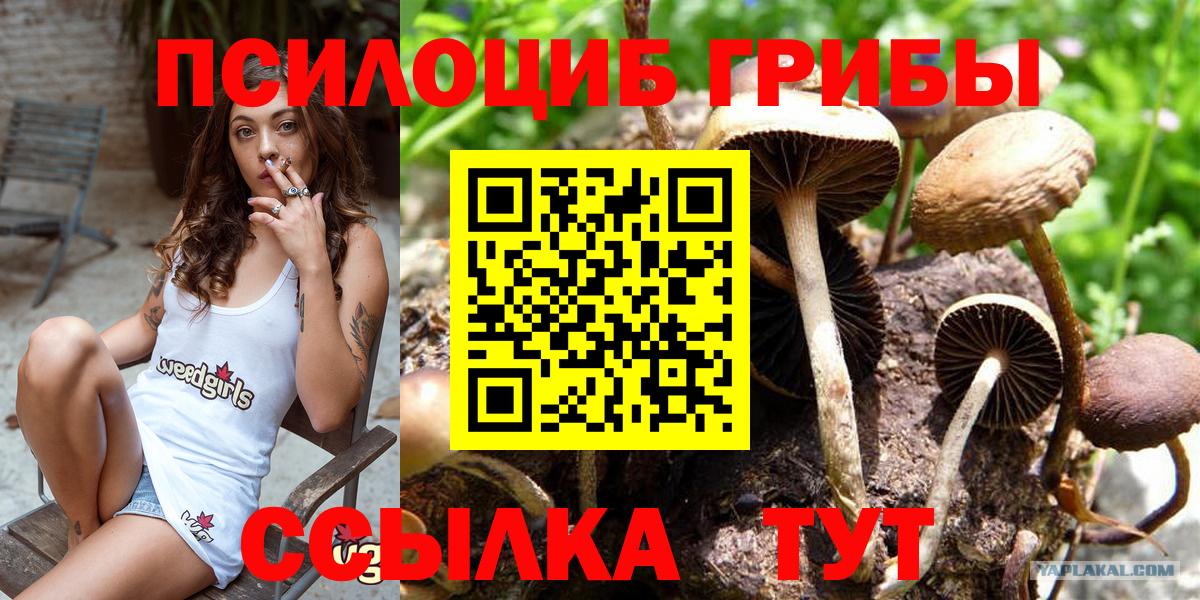 Галлюциногенные грибы MAGIC MUSHROOMS  Астрахань 