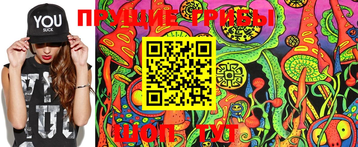 Псилоцибиновые грибы мицелий Астрахань